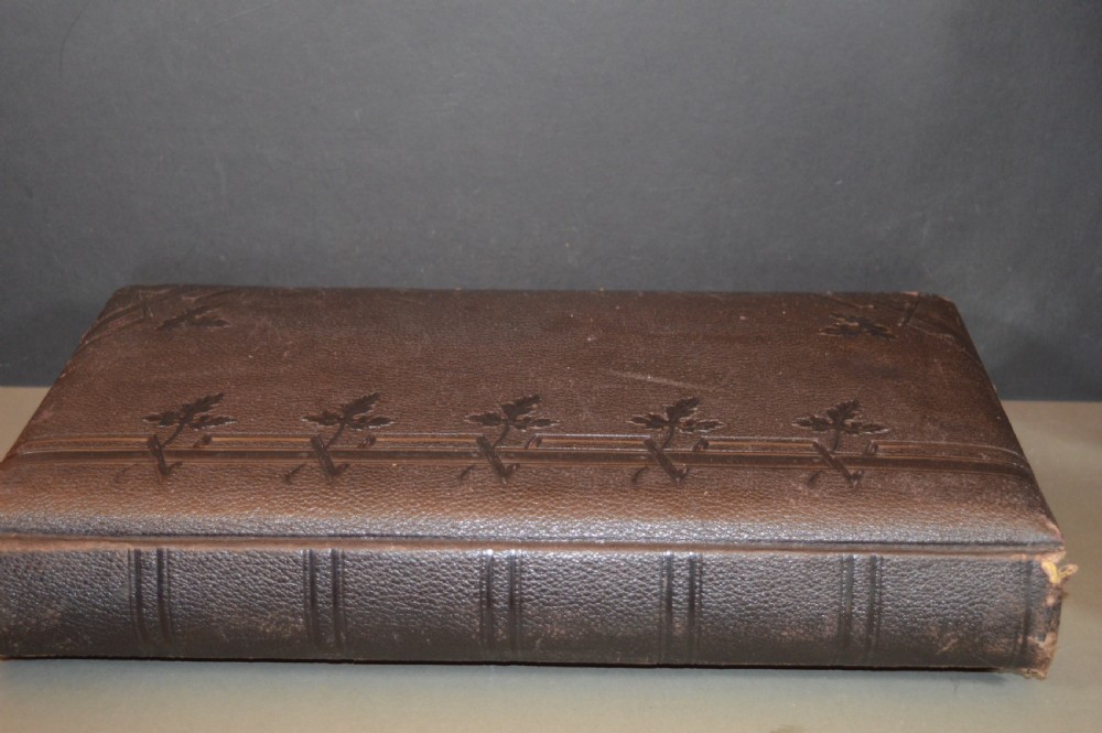 A dark brown Victorian leather photo album featuring embossed leaf motifs along the spine and a brass clasp on the edge. View IX