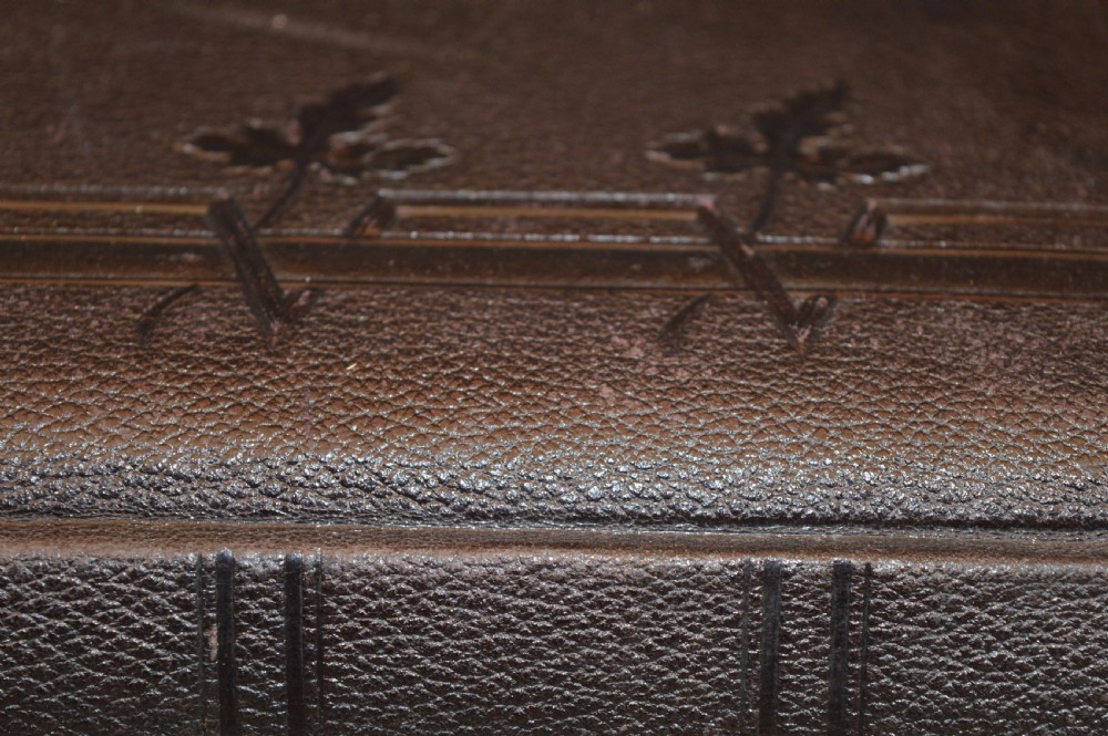 A dark brown Victorian leather photo album featuring embossed leaf motifs along the spine and a brass clasp on the edge. View XI
