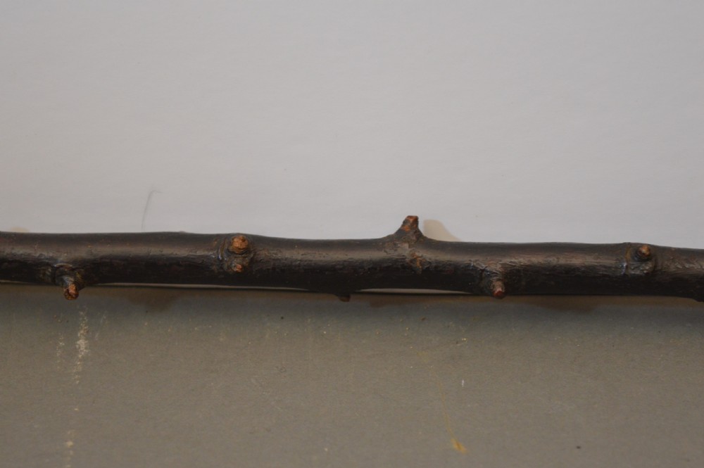 Irish Blackthorn Clenched Fist Swagger Stick, c1840 View IV