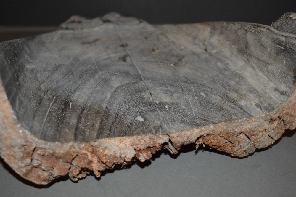 A carved wooden canoe prow shaped like a stylised crocodile head with weathered grey timber and incised geometric details around the eyes. View XIV