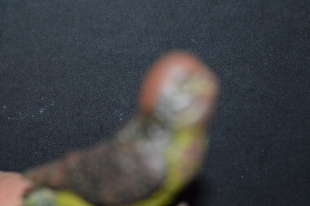 A cold-painted bronze figurine depicting a parrot with textured feather details in shades of brown, green, and yellow. View VIII