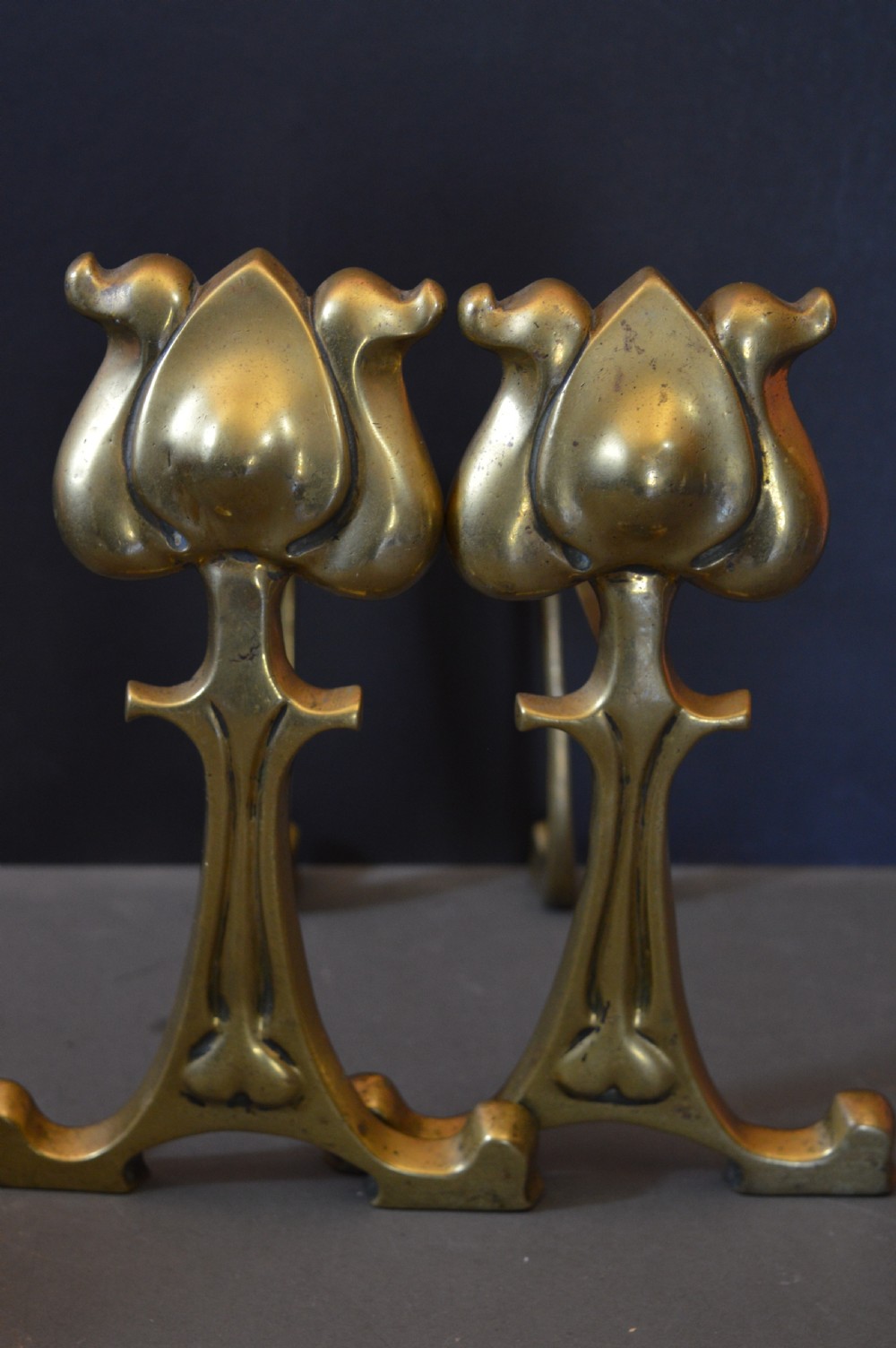 Pair Art Nouveau Fire Dogs,c1900 View XIII