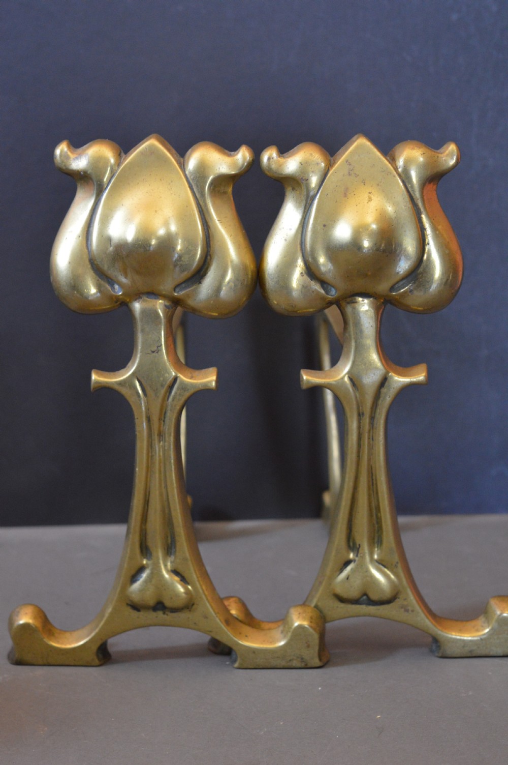 Pair Art Nouveau Fire Dogs,c1900 View XIV