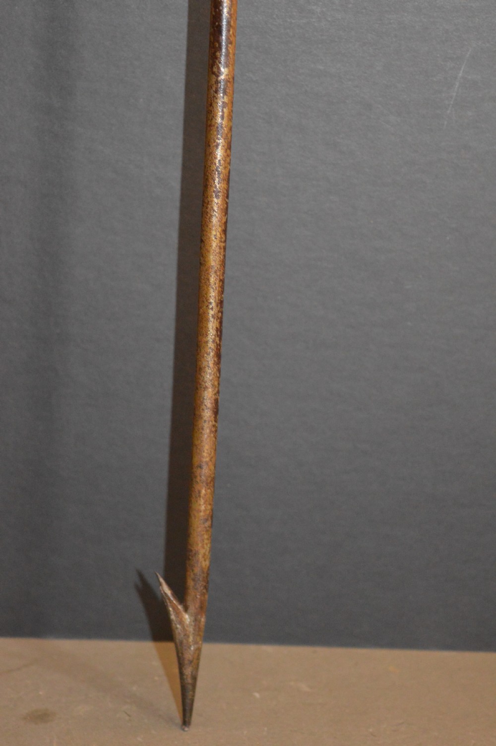 Poachers Harpoon Walking Stick,c1820  View III