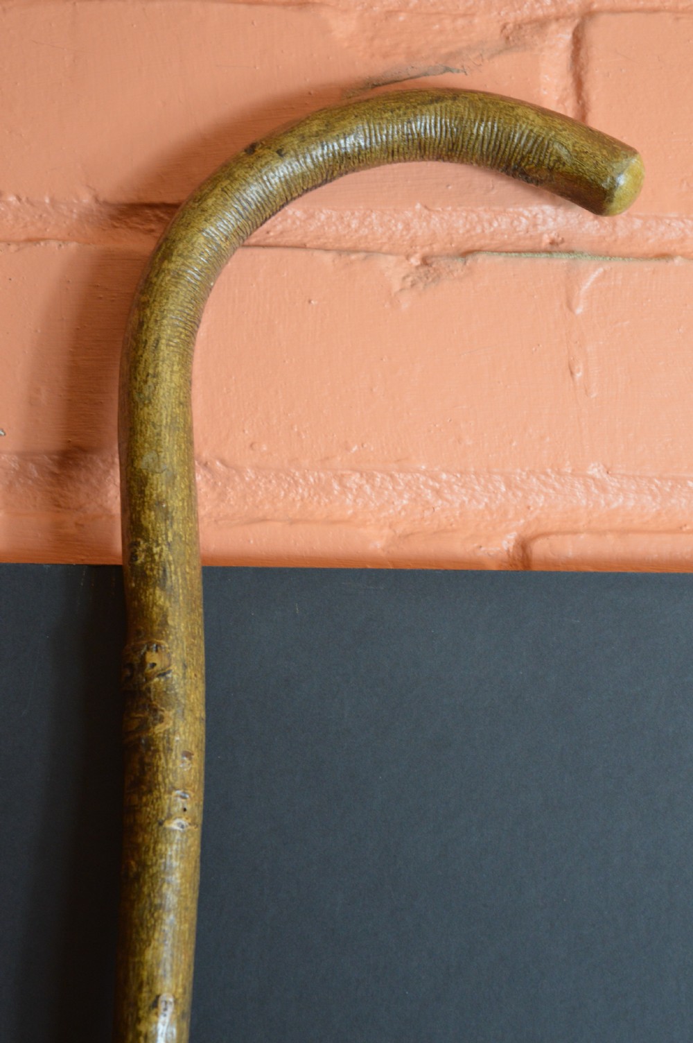 Poachers Harpoon Walking Stick,c1820  View IV