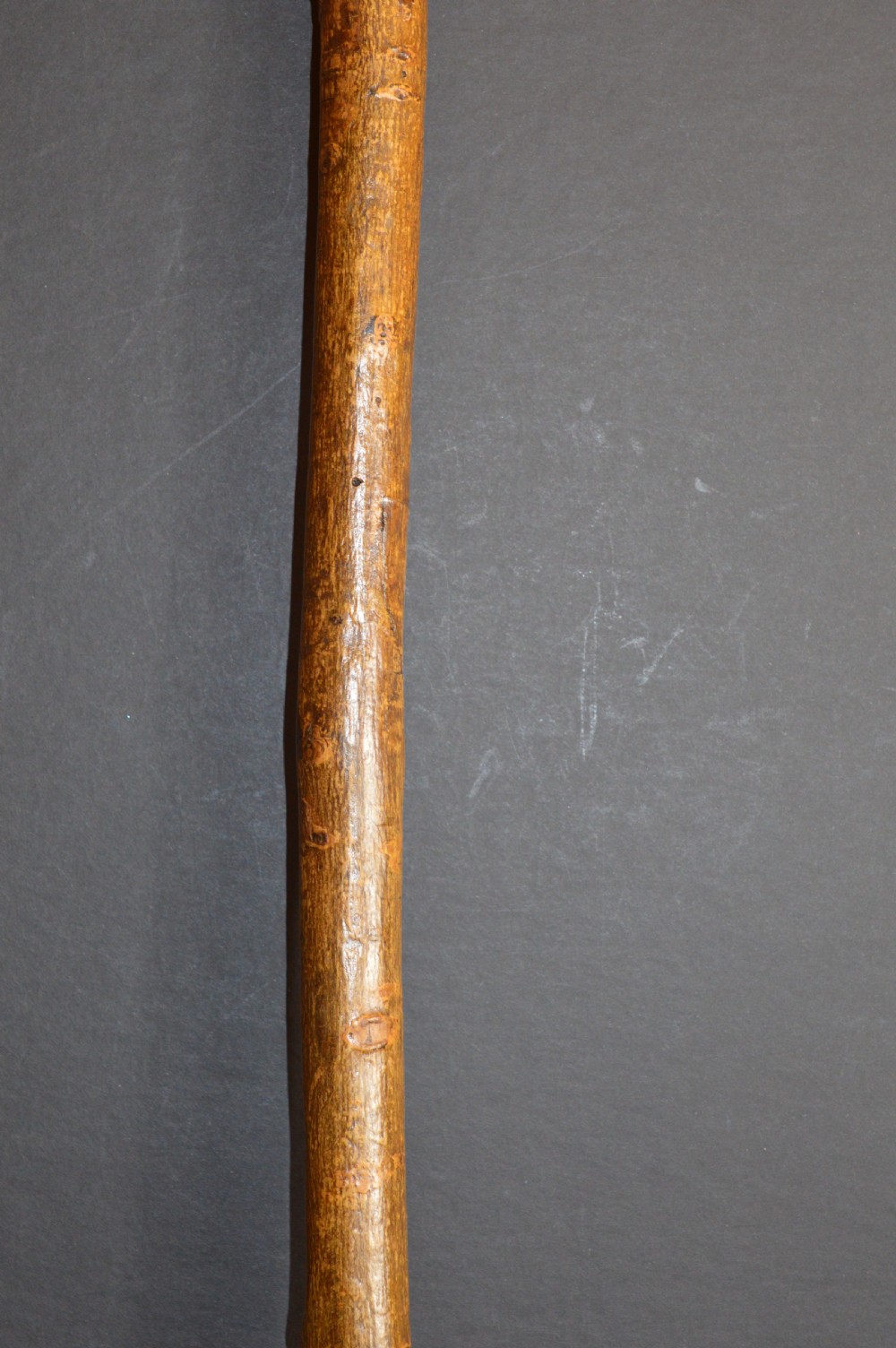 Poachers Harpoon Walking Stick,c1820  View V