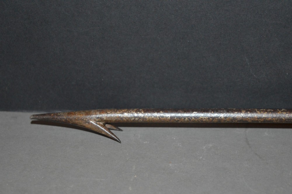 Poachers Harpoon Walking Stick,c1820  View VIII