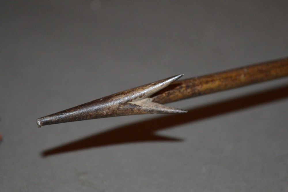 Poachers Harpoon Walking Stick,c1820  View XI