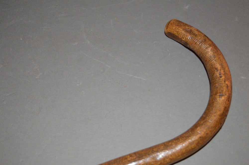 Poachers Harpoon Walking Stick,c1820  View XIV