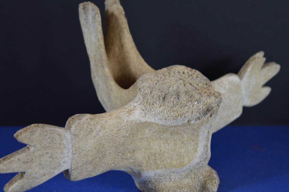A carved whale vertebra figure with extended side limbs, stylized facial features, and a textured bone surface. View VI