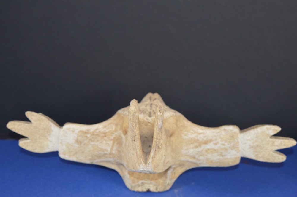 A carved whale vertebra figure with extended side limbs, stylized facial features, and a textured bone surface. View VIII