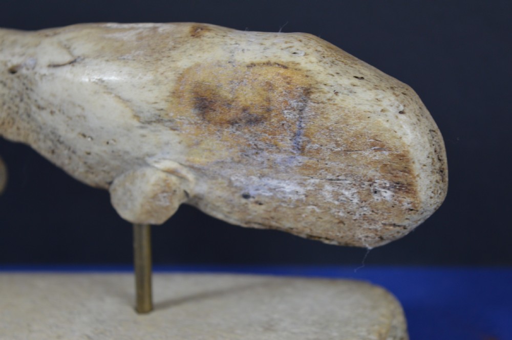 A hand-carved whale figure made from porous whalebone mounted on a metal pin above a rectangular bone plinth base. View III