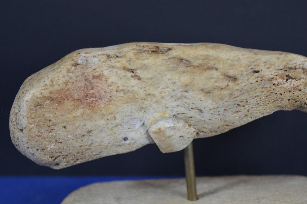 A hand-carved whale figure made from porous whalebone mounted on a metal pin above a rectangular bone plinth base. View VII