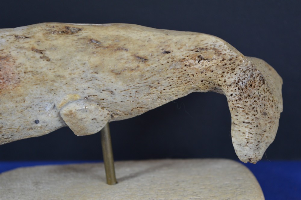 A hand-carved whale figure made from porous whalebone mounted on a metal pin above a rectangular bone plinth base. View VIII