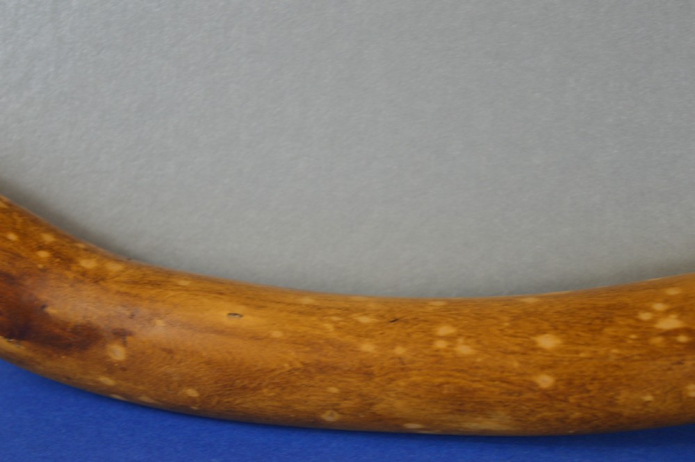 Nepalese Ceremonial Carved Naga Snake Stick,c1880 View IX