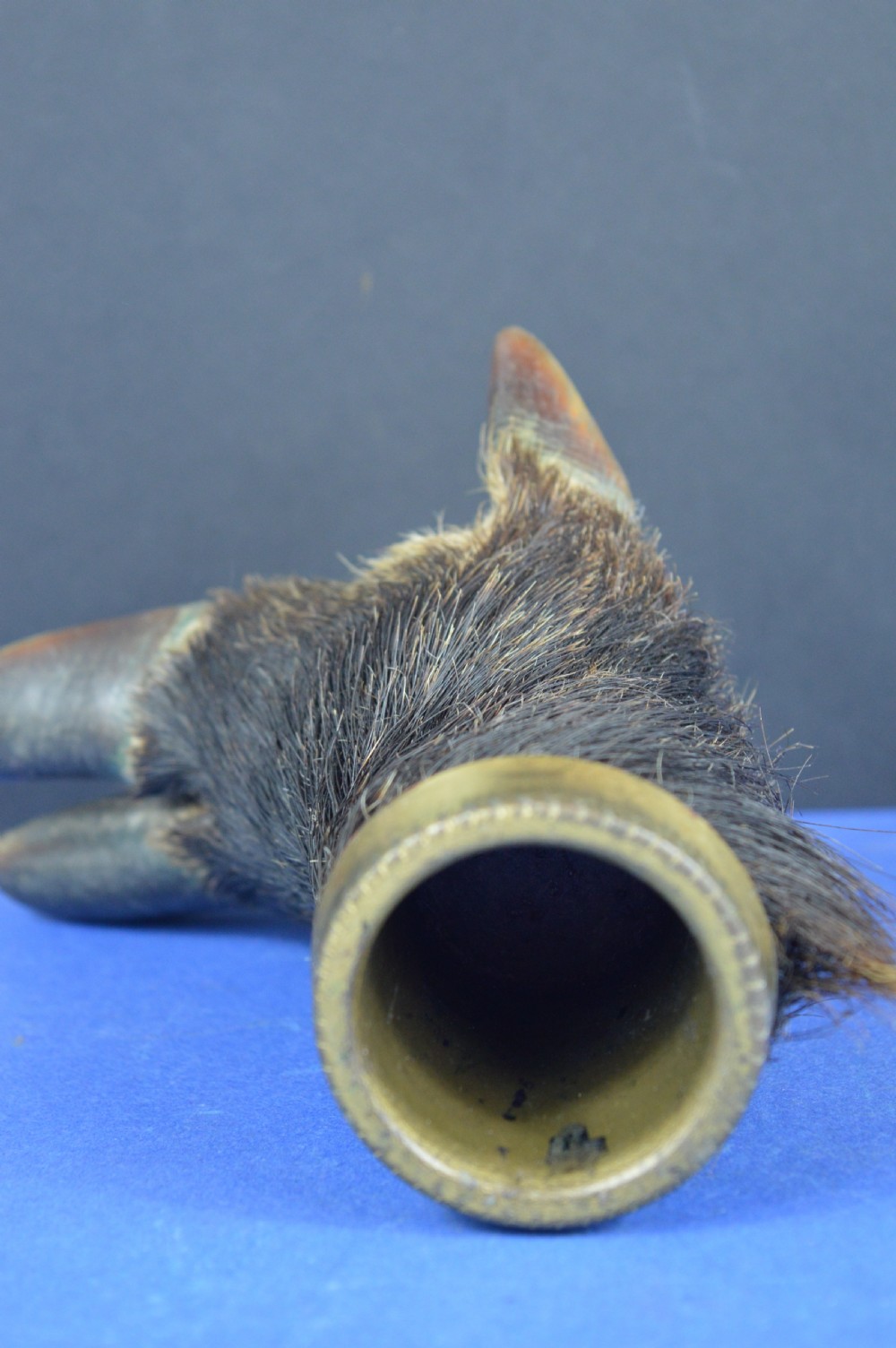 A late nineteenth-century taxidermy wild boar foot repurposed as an inkwell with a patterned brass rim collar. View VII