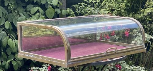 Counter Top Display Cabinet
