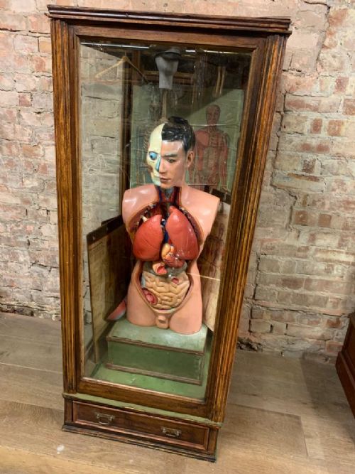 1910 Anatomical Medical Figure