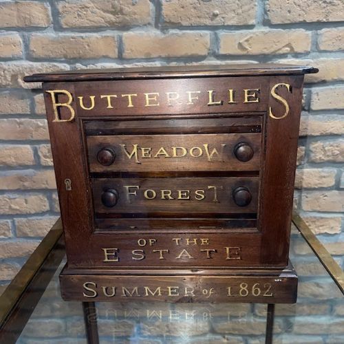 Victorian Specimen Counter Cabinet
