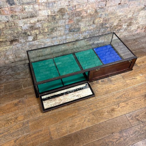 1910S F SAGE CO LONDON COUNTERTOP DISPLAY CABINET - ADDITIONAL PHOTO 3