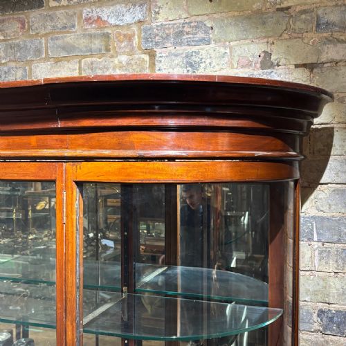 fig 1. Late Victorian Mahogany Bow Shop Display Cabinet