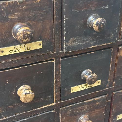 1900S ENGLISH FLORIST'S SEED CHEST - ADDITIONAL PHOTO 4