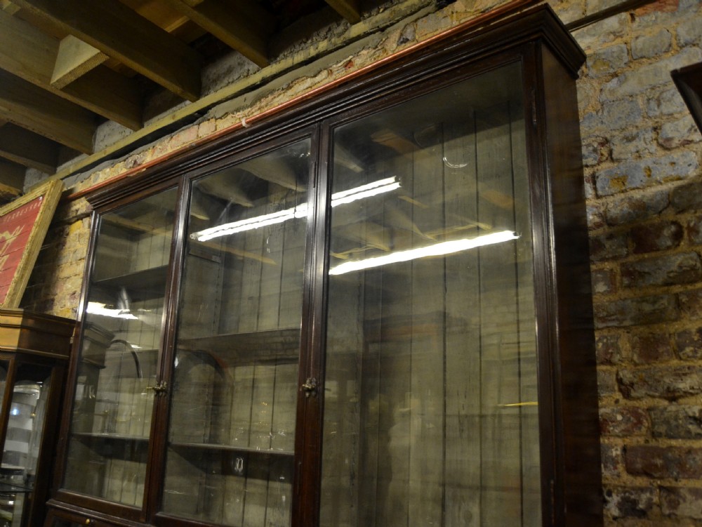 Victorian French Bookcase View VII
