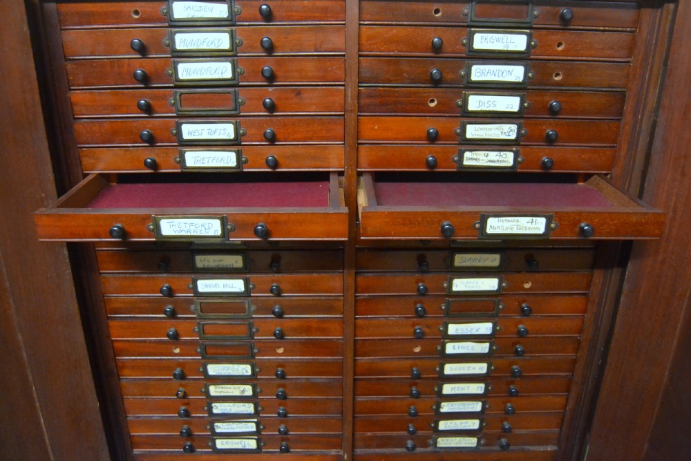 Collector's Cabinet View VII