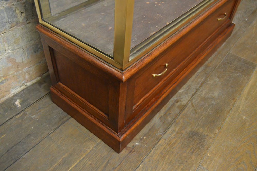 Pair of 1920s Bronze Jewellery Display Cabinets View VI