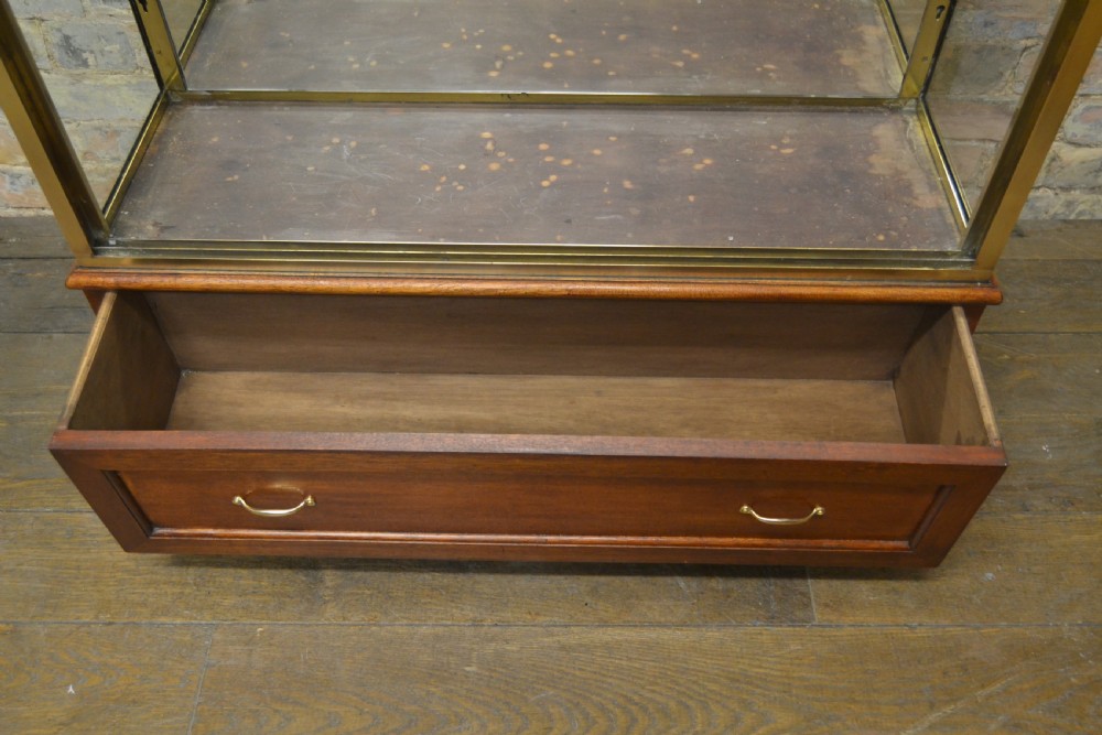 Pair of 1920s Bronze Jewellery Display Cabinets View VII