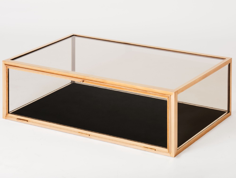 A rectangular clear glass display case with a brass frame and a black velvet-lined bottom surface.