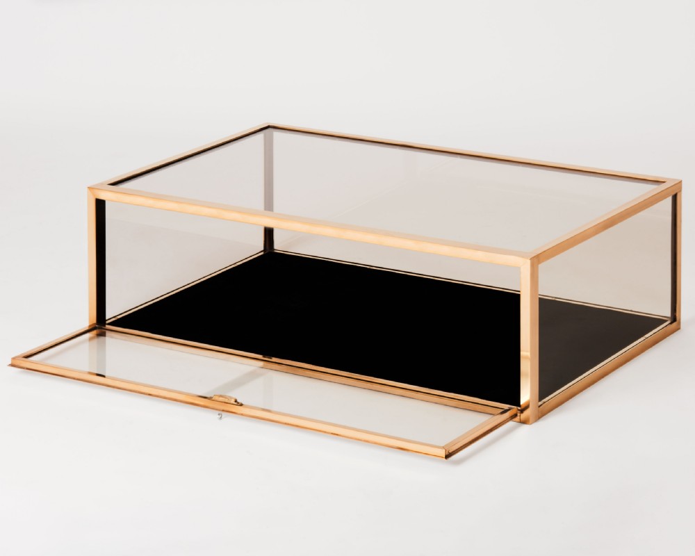 A rectangular clear glass display case with a brass frame and a black velvet-lined bottom surface. View VI