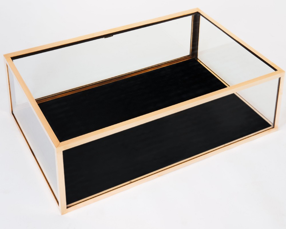 A rectangular clear glass display case with a brass frame and a black velvet-lined bottom surface. View VII
