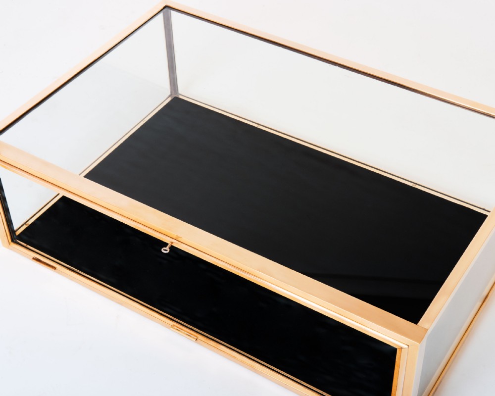A rectangular clear glass display case with a brass frame and a black velvet-lined bottom surface. View IX