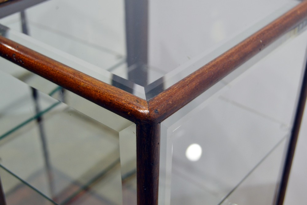 1920s Counter Top Display Cabinet View VII