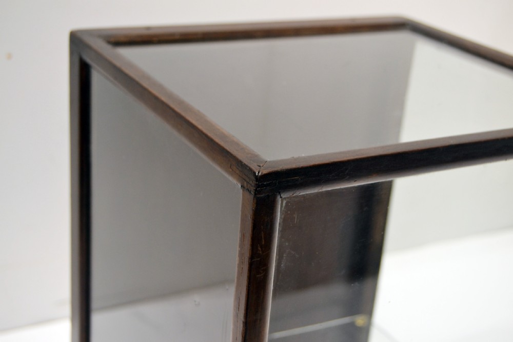 Small Mahogany Counter Top Cabinet View III