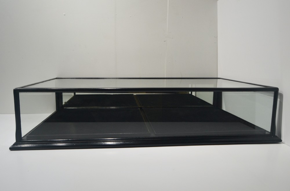 Ebonised Jeweller's Display Cabinet View III