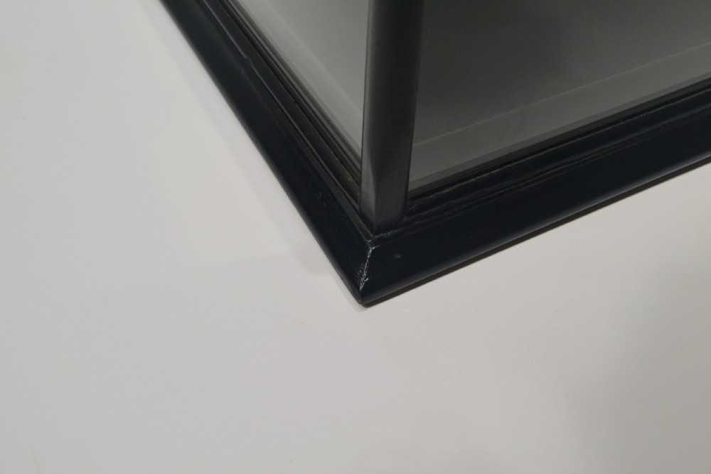 Ebonised Jeweller's Display Cabinet View V