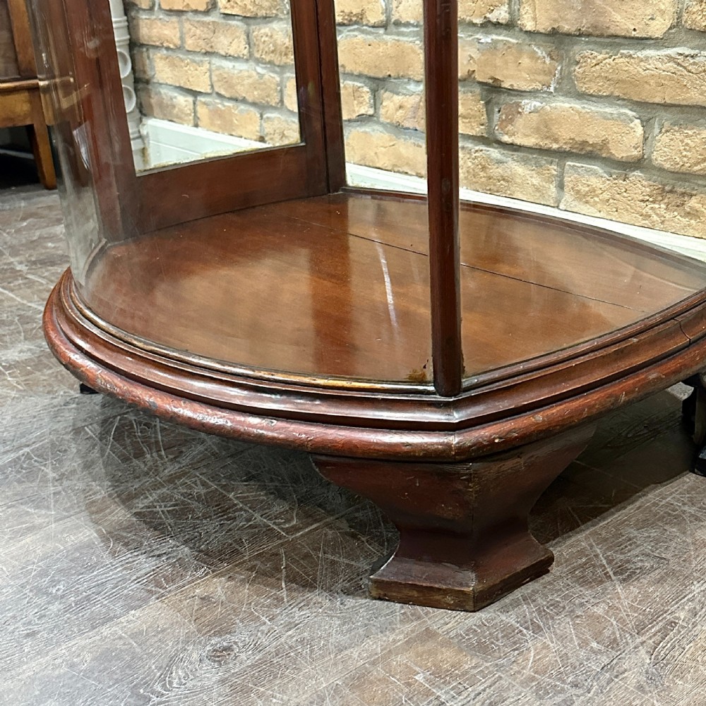 Bowed Victorian Shop Display Cabinet View II