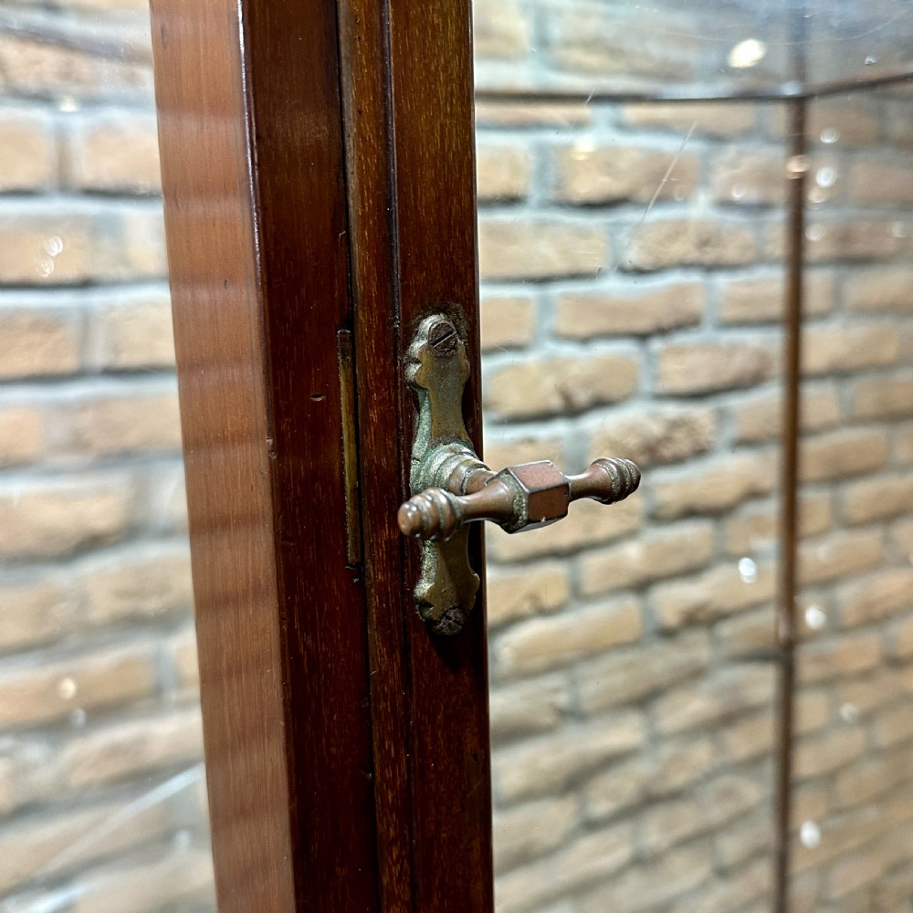 Victorian Bow Front Shop Display Cabinet View VII
