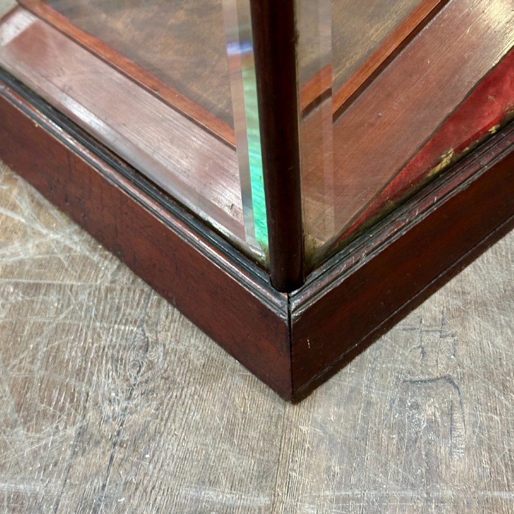 1920s Mahogany Countertop Display Cabinet View VII