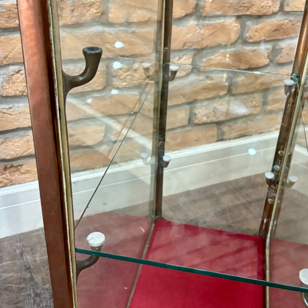 Antique Mayer & Meltzer Medical Display Cabinet View VII