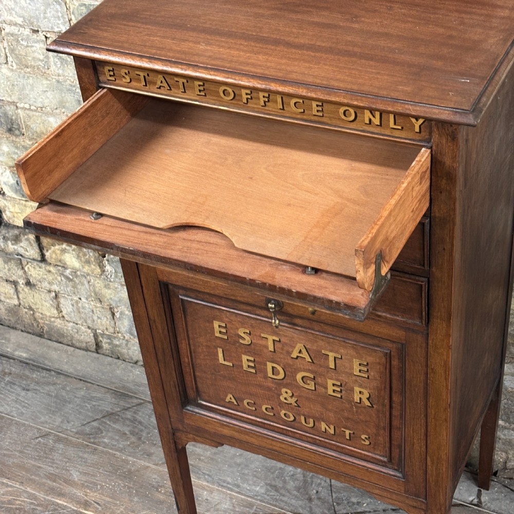 Edwardian Estate Office Cabinet View IV