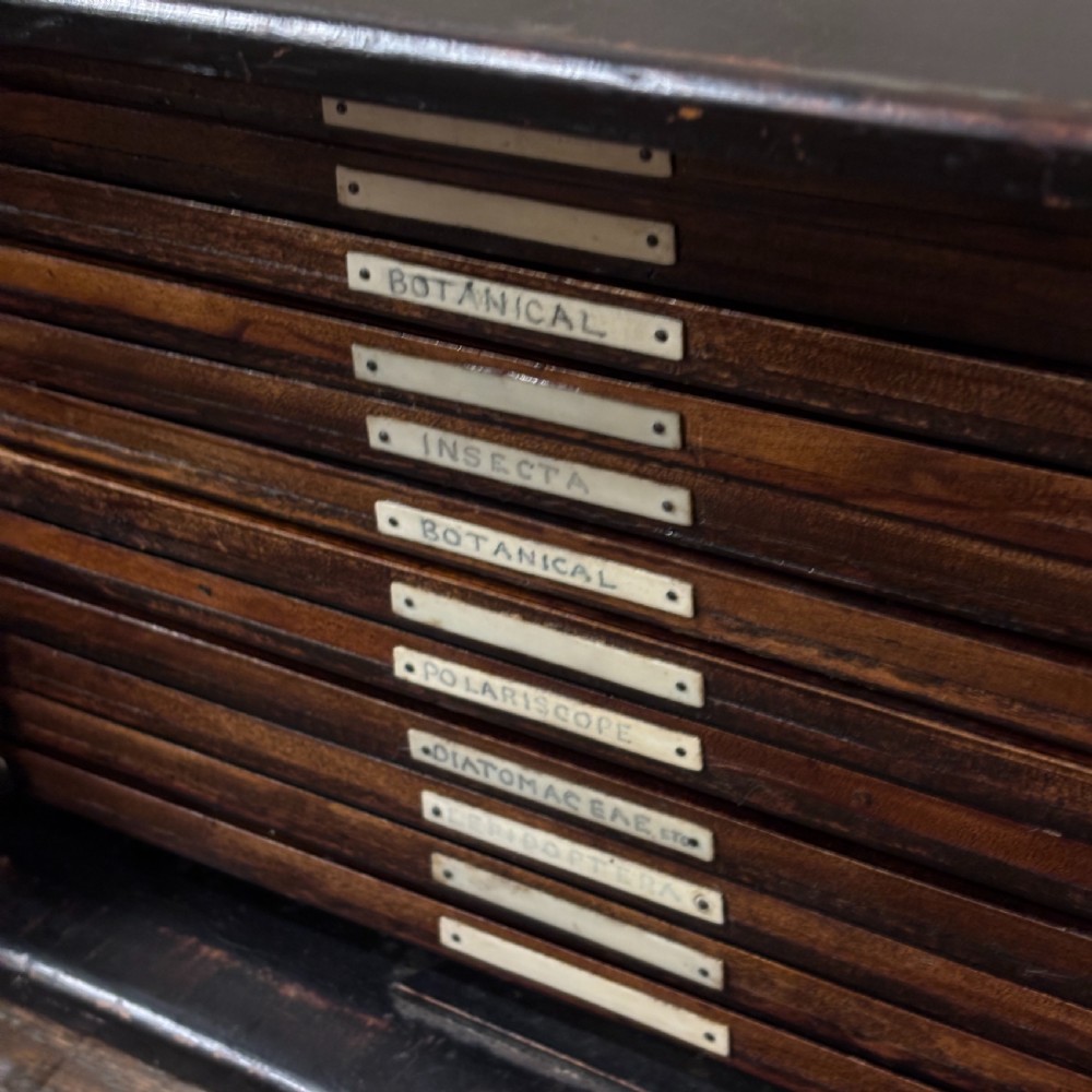 1920s Microscope Slide Cabinet with Ivorine Labels
 View III