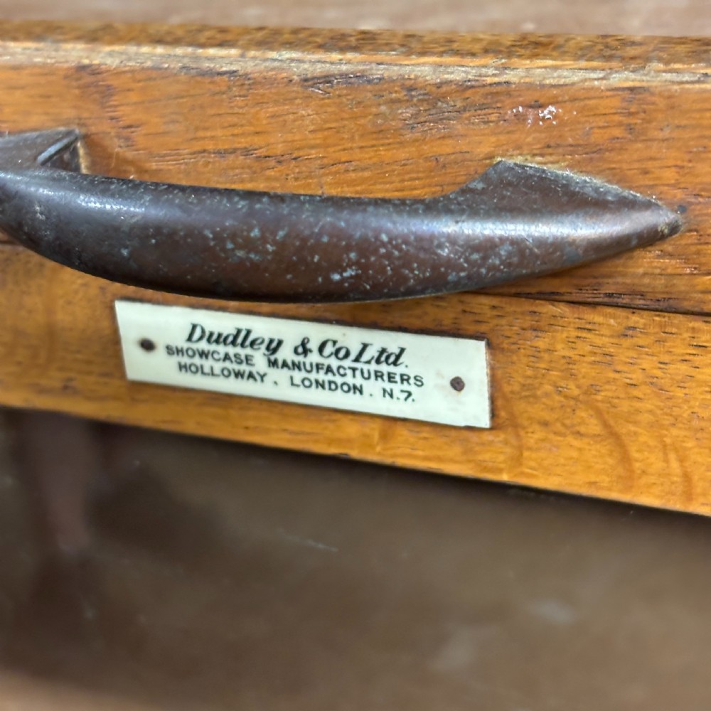 1930s Dudley & Co. Oak Haberdashery Display Cabinet View III