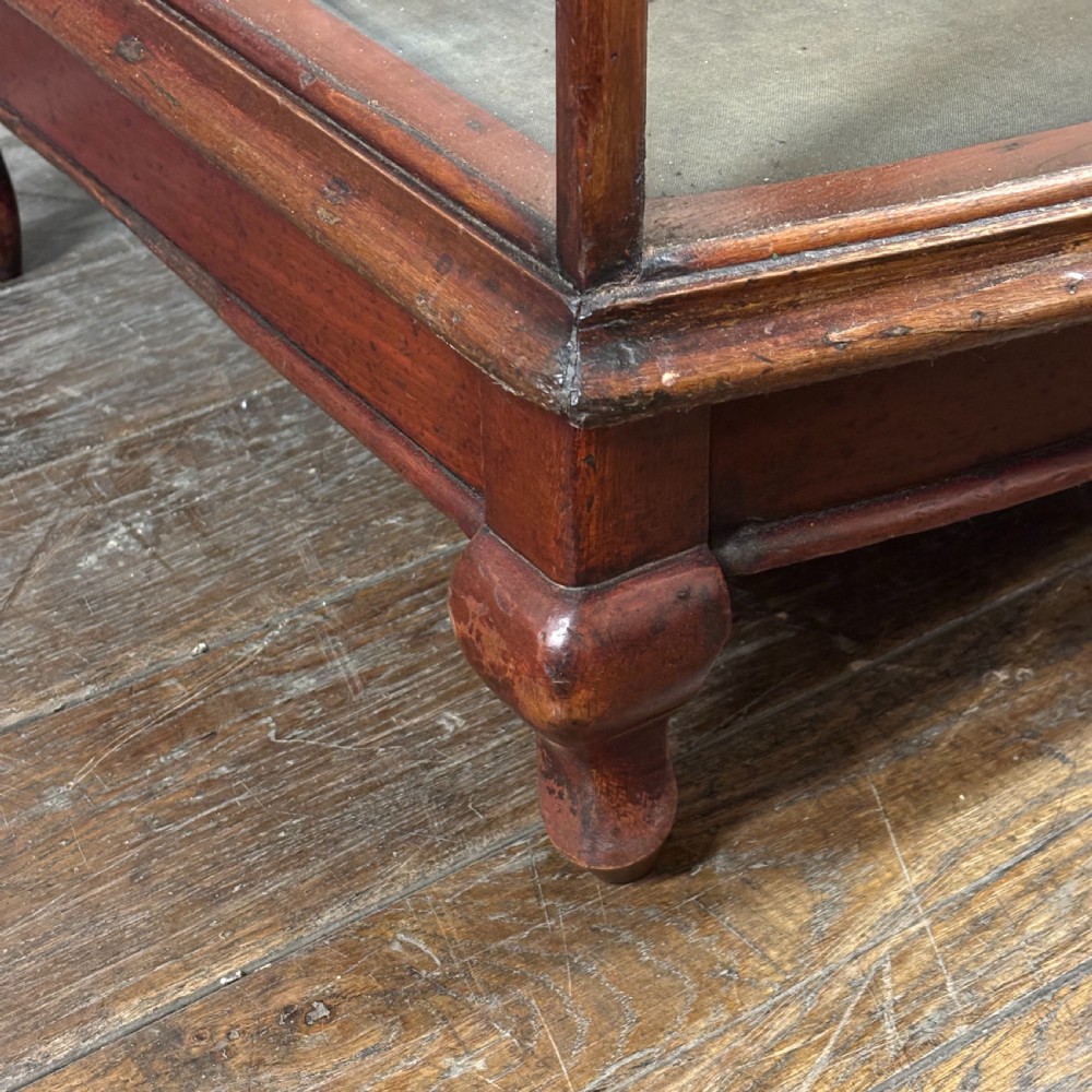 1900s Mahogany Shop Display Cabinet
 View VII
