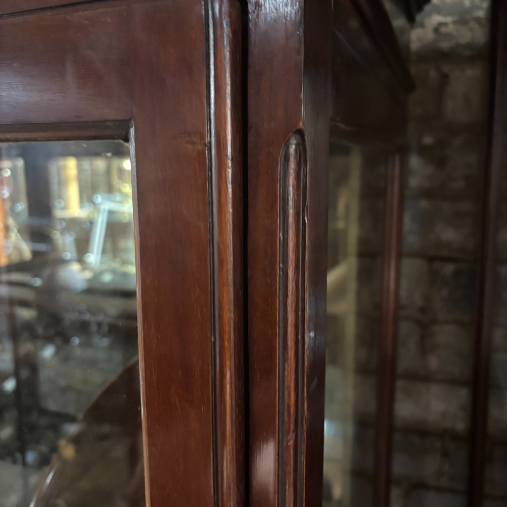 A tall mahogany shop display cabinet featuring a single full-length glazed door, adjustable glass shelves, a mirrored back panel, and a lower drawer. View III