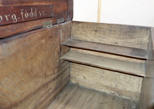 CEDAR TRUNK - ADDITIONAL PHOTO 5