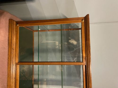 SMALL MAHOGANY SHOP DISPLAY CABINET - ADDITIONAL PHOTO 2