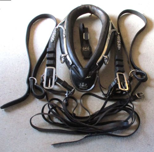 Rare Crested 19th Century Leather & Silver Plated Horse Collar & Tack